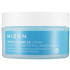 MIZON WATER VOLUME EX CREAM цена и информация | Кремы для лица | pigu.lt