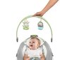 Gultukas Bright Starts SmartBounce Automatic Bouncer™ kaina ir informacija | Gultukai ir sūpynės | pigu.lt