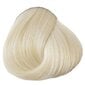 Pusiau ilgalaikiai plaukų dažai La Riche Directions Colour 88 ml, White Toner kaina ir informacija | Plaukų dažai | pigu.lt
