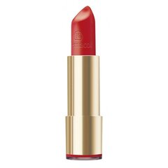 Dermacol Pretty Matte Lipstick N. 13 для матового эффекта 4,5 г цена и информация | Помады, бальзамы, блеск для губ | pigu.lt