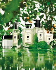 Odekolonas Jo Malone Basil & Neroli EDC moterims ir vyrams 100 ml kaina ir informacija | Kvepalai moterims | pigu.lt