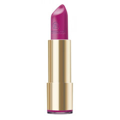 Lūpų dažai Dermacol Pretty matte 4.5 g, 09 цена и информация | Помады, бальзамы, блеск для губ | pigu.lt