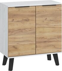 Шкафчик Sven 2D, белый/коричневый цена и информация | Шкафчики в гостиную | pigu.lt