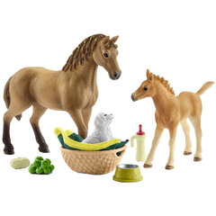 Набор фигурок «Конный клуб и щенок» Schleich Horse Club цена и информация | Игрушки для мальчиков | pigu.lt