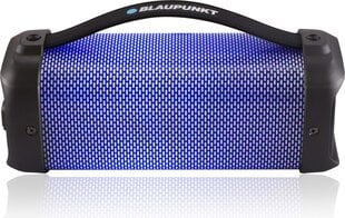 Blaupunkt BT30LED, синий цена и информация | Аудиоколонки | pigu.lt