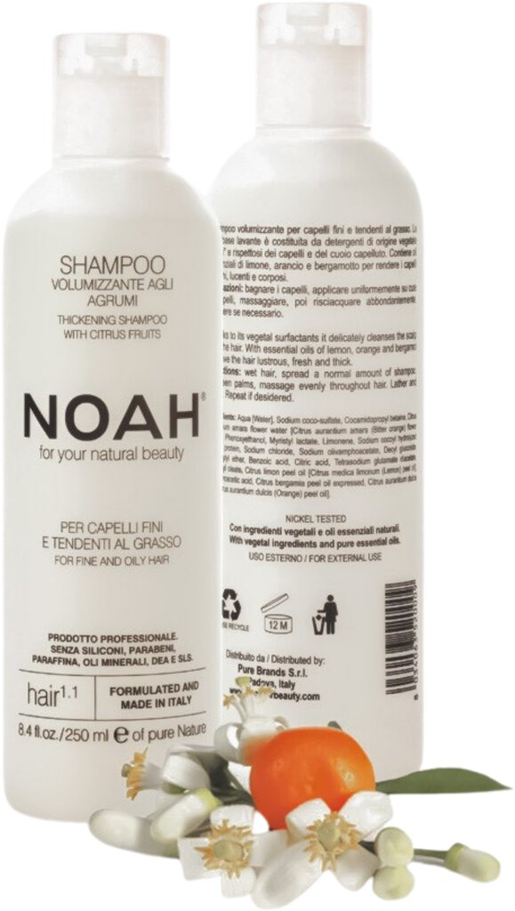 Šampūnas besiriebaluojantiems plaukams Noah 250 ml kaina ir informacija | Šampūnai | pigu.lt