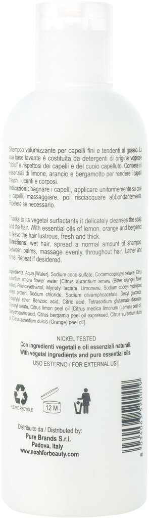 Šampūnas besiriebaluojantiems plaukams Noah 250 ml kaina ir informacija | Šampūnai | pigu.lt