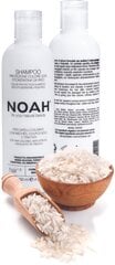 Spalvą apsaugantis šampūnas dažytiems ir sruogelėmis dažytiems plaukams Noah 250 ml kaina ir informacija | Noah Kvepalai, kosmetika | pigu.lt