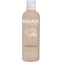 Укрепляющий шампунь для зрелых волос с листьями гинкго билоба Noah 250 мл цена и информация | Шампуни | pigu.lt