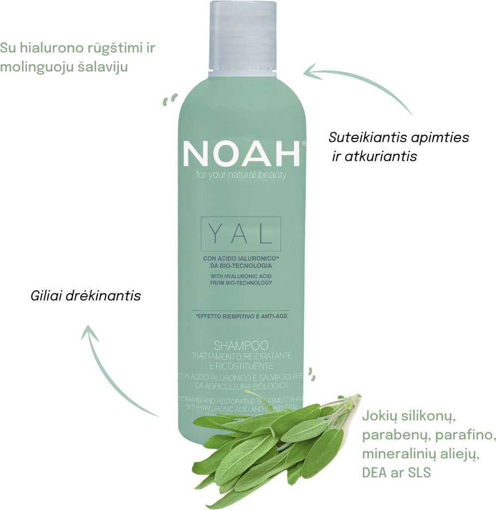 Atkuriamasis, drėkinamasis plaukų šampūnas su hialurono rūgštimi ir šalaviju Noah 250 ml kaina ir informacija | Šampūnai | pigu.lt