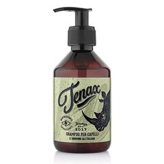 Kasdieninio naudojimo plaukų šampūnas vyrams Tenax 250 ml kaina ir informacija | Šampūnai | pigu.lt