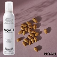 Plaukų putos su migdolų aliejumi Noah 250 ml kaina ir informacija | Noah Kvepalai, kosmetika | pigu.lt