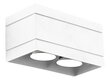 Lampex šviestuvas Quado Deluxe 2 kaina ir informacija | Lubiniai šviestuvai | pigu.lt