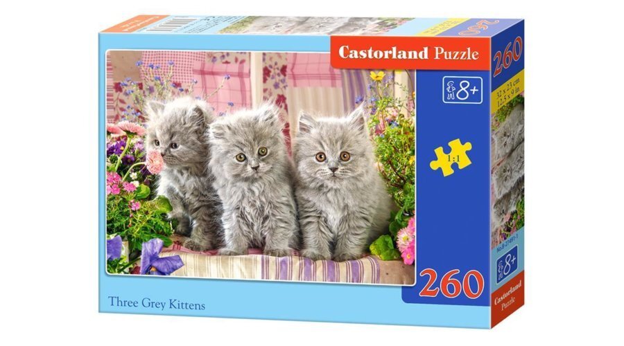 Dėlionė Puzzle Castorland Three Grey Kittens 260 det. цена и информация | Dėlionės (puzzle) | pigu.lt
