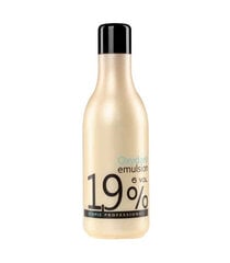 Oksiduotas vanduo Stapiz Basic Salon 1,9% 1000 ml цена и информация | Краска для волос | pigu.lt