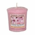 Kvapioji žvakė Yankee Candle Cherry Blossom 49g