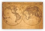 Kamštinis paveikslas - Senasis pasaulis [Kamštinis žemėlapis], 60x40 cm.