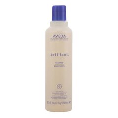 Шампунь для ежедневного применения Brilliant Aveda (250 мл) цена и информация | Шампуни | pigu.lt