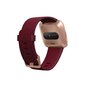 FitBit Versa, Rose Gold/Merlot Aluminium цена и информация | Išmanieji laikrodžiai (smartwatch) | pigu.lt