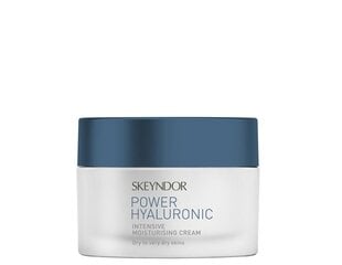 Питательный крем для лица Skeyndor Power Hyaluronic, 50 мл цена и информация | Кремы для лица | pigu.lt