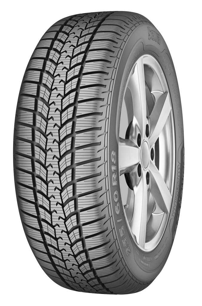 Sava Eskimo SUV 2 225/60R17 103 V XL цена и информация | Žieminės padangos | pigu.lt