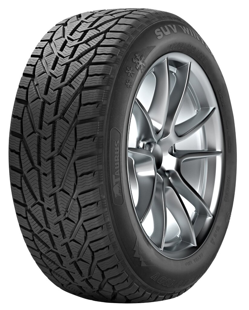 Taurus SUV Winter 245/45R18 100 V XL kaina ir informacija | Žieminės padangos | pigu.lt