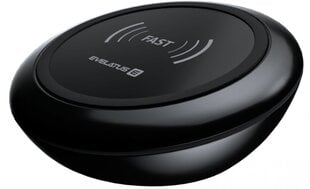 Evelatus EWC01 Wireless Charger Black kaina ir informacija | Krovikliai telefonams | pigu.lt