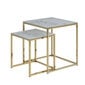 2-jų staliukų komplektas Alisma, baltos/auksinės spalvos kaina ir informacija | Kavos staliukai | pigu.lt