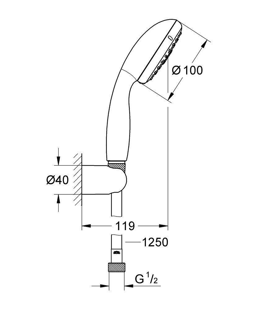 Grohe Tempesta 100 rankinis dušas 27799001 цена и информация | Dušo komplektai ir panelės | pigu.lt