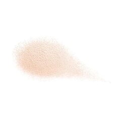 Biri pudra Shiseido Future Solution LX Total Radiance Loose Powder, 10 g kaina ir informacija | Makiažo pagrindai, pudros | pigu.lt