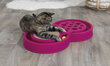 Žaislas katei – trasa su kamuoliuku ir draskykle Trixie kaina ir informacija | Žaislai katėms | pigu.lt