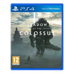 Sony PS4 Shadow Of The Colossus цена и информация | Компьютерные игры | pigu.lt