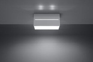 Sollux светильник Lobo Maxi, white цена и информация | Потолочные светильники | pigu.lt
