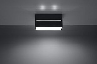 Sollux светильник Lobo Maxi, grey цена и информация | Потолочные светильники | pigu.lt