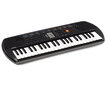 Sintezatorius Casio SA-77 kaina ir informacija | Klavišiniai muzikos instrumentai | pigu.lt