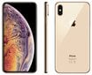 Apple iPhone XS Max, 64 GB, Gold kaina ir informacija | Mobilieji telefonai | pigu.lt