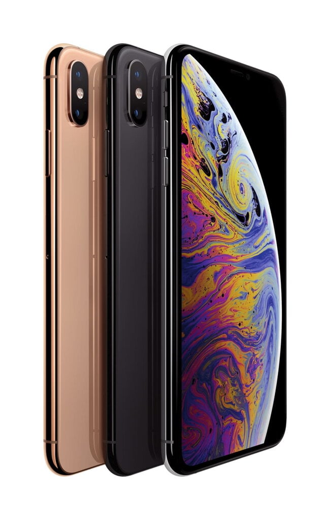 Apple iPhone XS Max, 64 GB, Pilka цена и информация | Mobilieji telefonai | pigu.lt