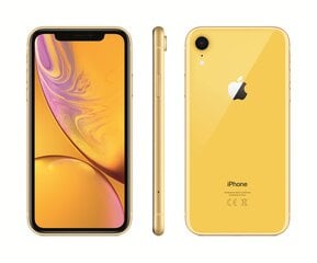 Apple iPhone XR, 64 GB, Yellow kaina ir informacija | Mobilieji telefonai | pigu.lt