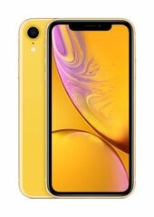 Apple iPhone XR, 64 GB, Yellow kaina ir informacija | Mobilieji telefonai | pigu.lt