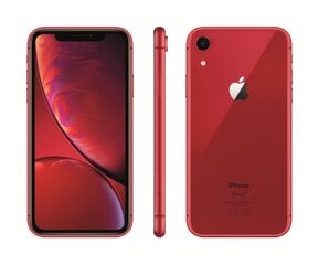 Apple iPhone XR, 64 GB, Red kaina ir informacija | Mobilieji telefonai | pigu.lt