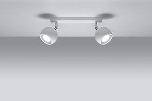 Sollux светильник Oculare 2 цена и информация | Потолочные светильники | pigu.lt