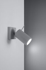 Sollux настенный светильник Ring 1, grey цена и информация | Настенные светильники | pigu.lt