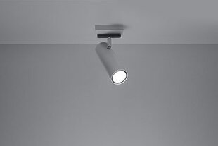 Sollux Lighting потолочный светильник Direzione цена и информация | Потолочные светильники | pigu.lt