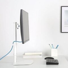 Держатель монитора Techly LED/LCD 17-27" 6 кг, белый цена и информация | Кронштейны и крепления для телевизоров | pigu.lt