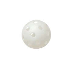 Grindų riedulio kamuoliukas Tremblay, 70 mm kaina ir informacija | Grindų ir žolės riedulys | pigu.lt