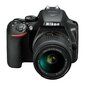 Nikon D3500 SLR + AF-P DX 18-55 VR цена и информация | Skaitmeniniai fotoaparatai | pigu.lt