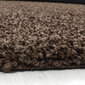 Ayyildiz kilimas LIFE brown, 100X200 cm kaina ir informacija | Kilimai | pigu.lt