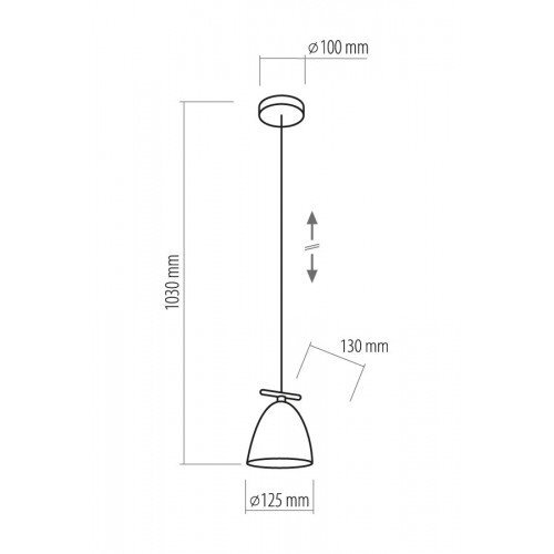 TK Lighting pakabinamas šviestuvas Aida Black 1 kaina ir informacija | Pakabinami šviestuvai | pigu.lt