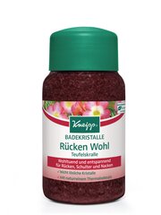 Kneipp Mineral Bath Salt Back Comfort соль для ванны 500 г цена и информация | Масла, гели для душа | pigu.lt