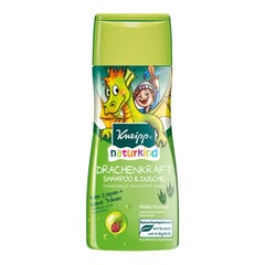 Šampūnas ir prausiklis Kneipp "Drakono jėga" vaikams 200 ml цена и информация | Косметика для мам и детей | pigu.lt